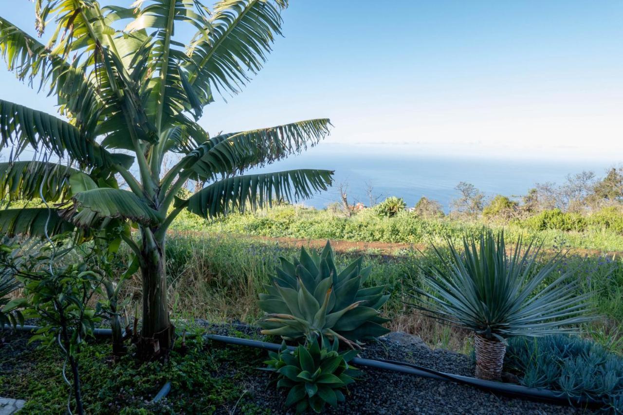 Hrlos Piratas - Ferien Haus La Palma - Good Wlan !! Tijarafe Exteriör bild