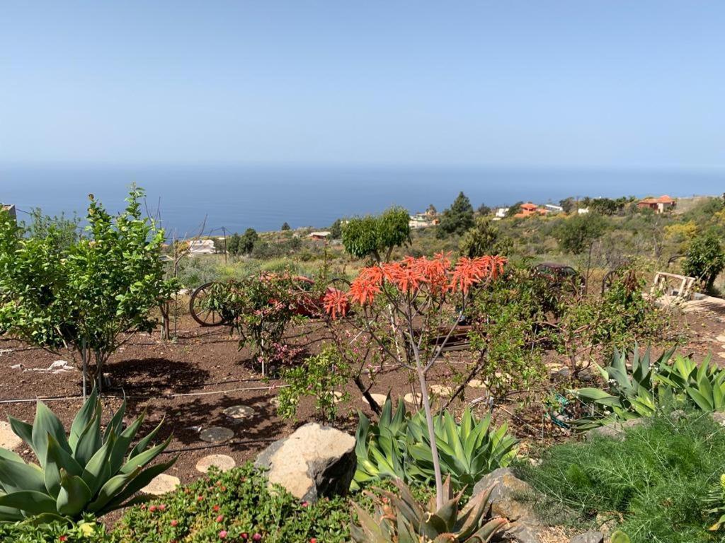 Hrlos Piratas - Ferien Haus La Palma - Good Wlan !! Tijarafe Exteriör bild