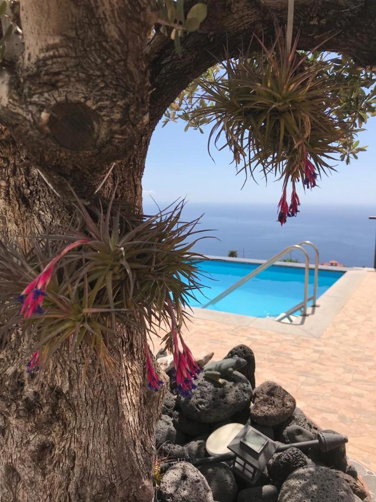 Hrlos Piratas - Ferien Haus La Palma - Good Wlan !! Tijarafe Exteriör bild